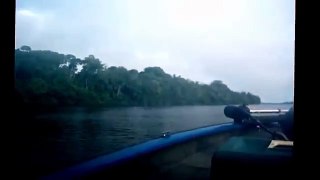Rio Negro - Amazon King - Hécio e Marcilio 28