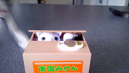 Qiyun Stealing Coin Cat Piggy Bank