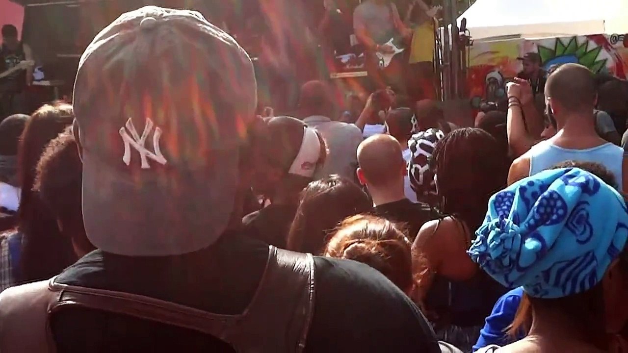 Afropunk Fest - Bad Rabbits @ Commodore John Barry Park 08/26/2012