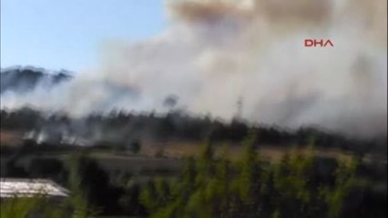 Çanakkale Tarlada Başlayan Yangın Ormanlık Alana Sıçradı