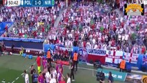 أهداف مباراة بولندا وأيرلندا الشمالية 1-0 يورو 2016
