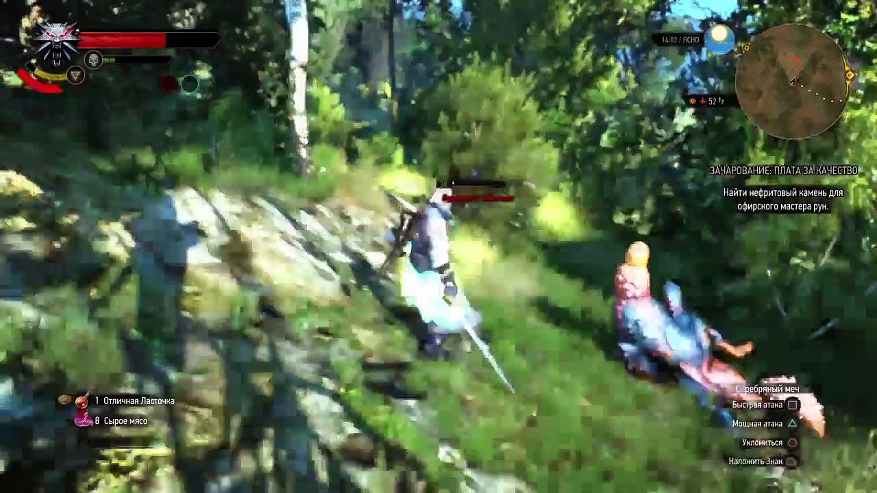 Witcher 3 (36)