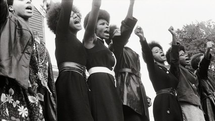 The Black Panthers: Vanguard of the Revolution Full 'Movie