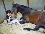 Girl and Horse - Great Bond