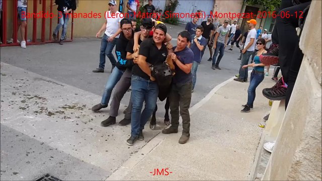 Abrivado-Bandido-3 manades (Leron-Matray-Simonetti)-Montpezat-2016/06/12
