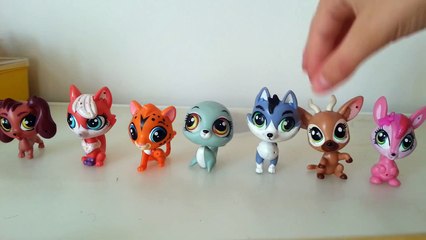 Lps : Miniş Koleksiyonum - 2015 (Düzenlendi)