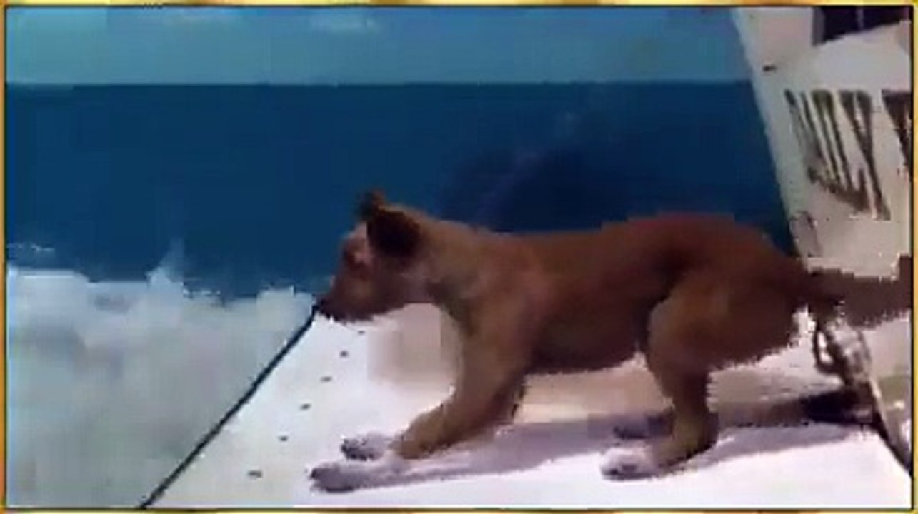 Subhan ALLAH