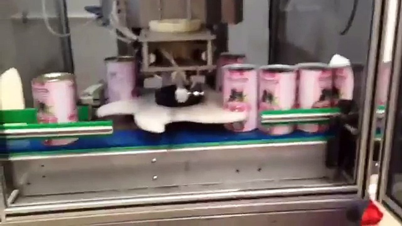 QUASAR-25 AUTOMATIC CAN SEAMING MACHINE FOR CANNED OLIVE