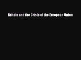 [PDF] Britain and the Crisis of the European Union Download Online