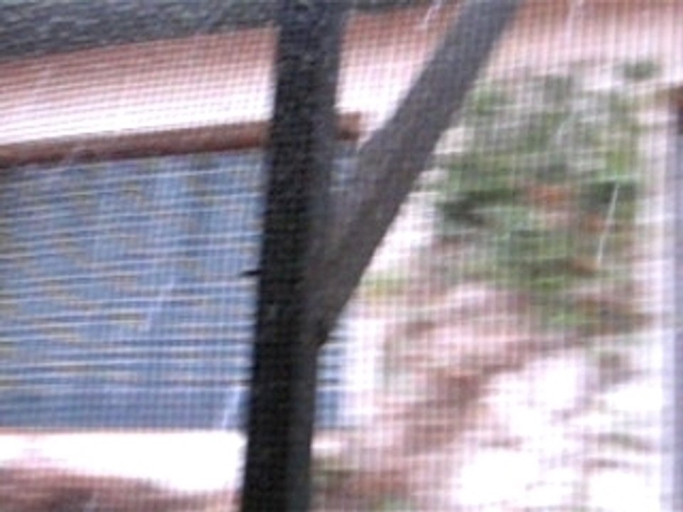 Nevando en Casa
