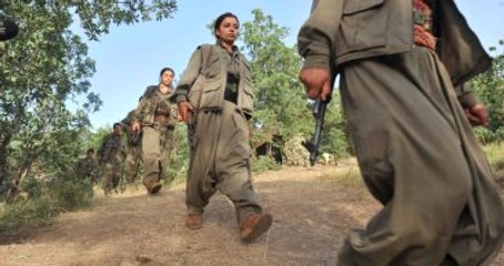 Mutki'de Terör Operasyonu! "Teslim Ol" Çağrısına Ateşle Karşılık Verildi