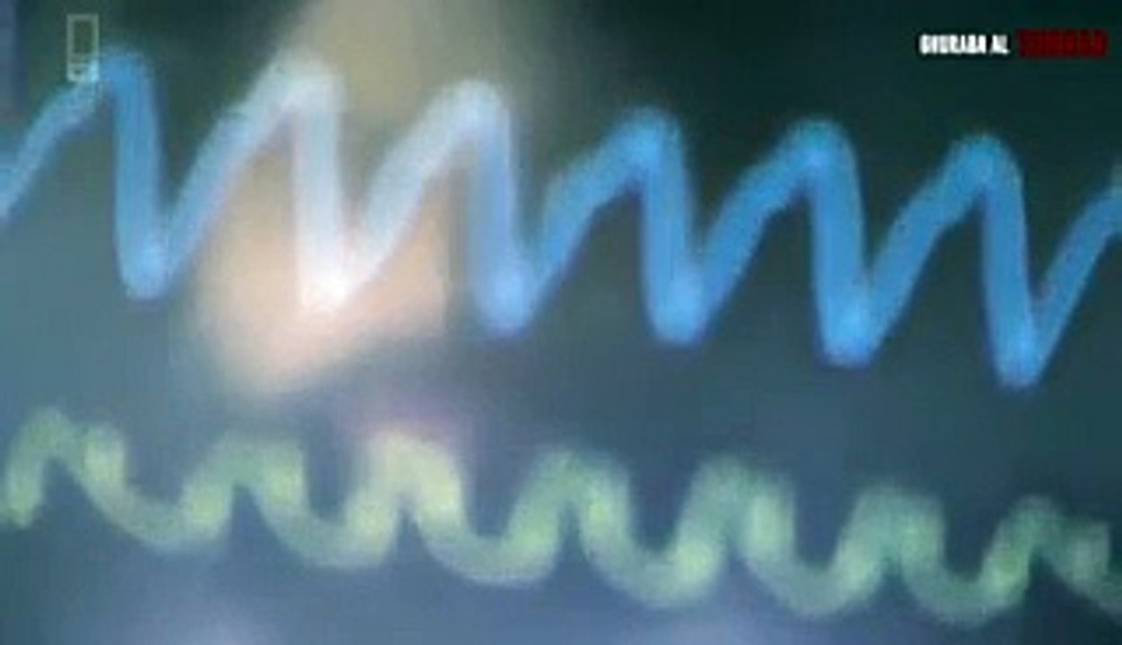 The unique experiment on soul