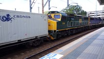 Triple C Class at Gosford station with 4190 - 29/2/16