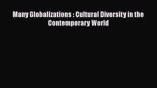 [PDF] Many Globalizations : Cultural Diversity in the Contemporary World [Download] Full Ebook