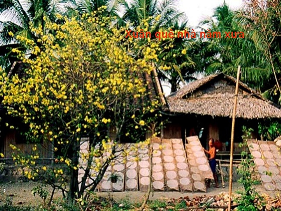 Xuân - pps