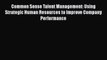 PDF Common Sense Talent Management: Using Strategic Human Resources to Improve Company Performance