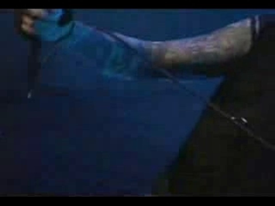 AFI - quot Total Immortal quot