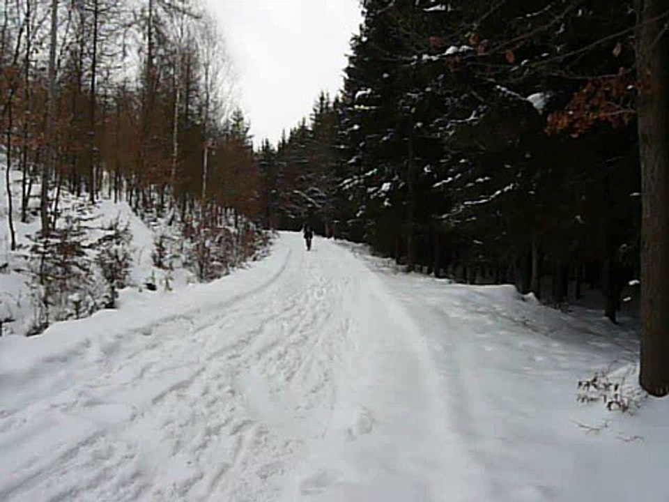 Tajný závod DH 14.02.10 (25)