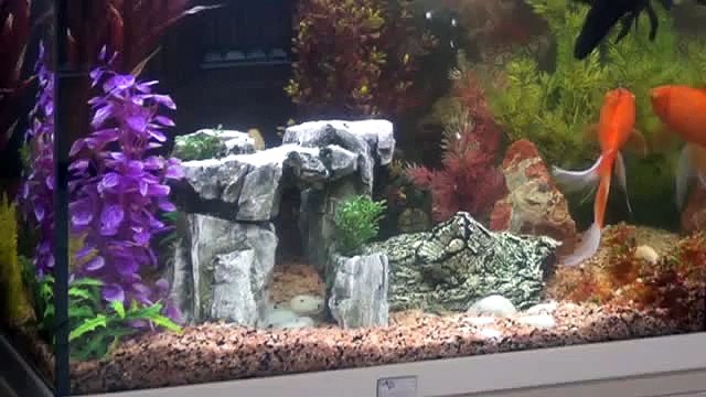 Toison d'or secteur Maison - Agence CARREZ Immobilier