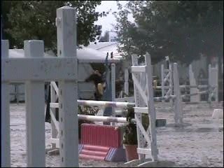 gleny moi lamotte 2007
