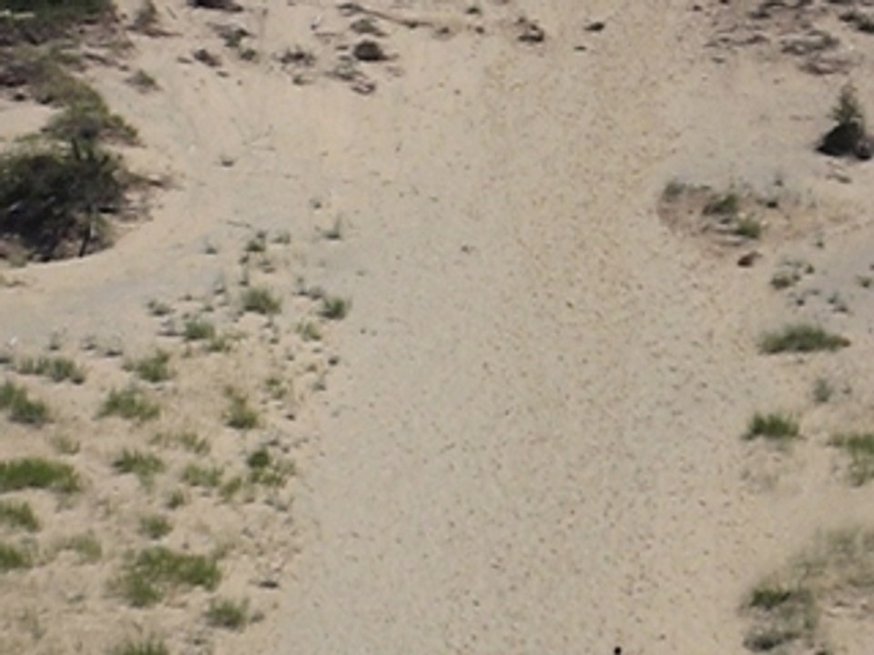 Climing a sand dune