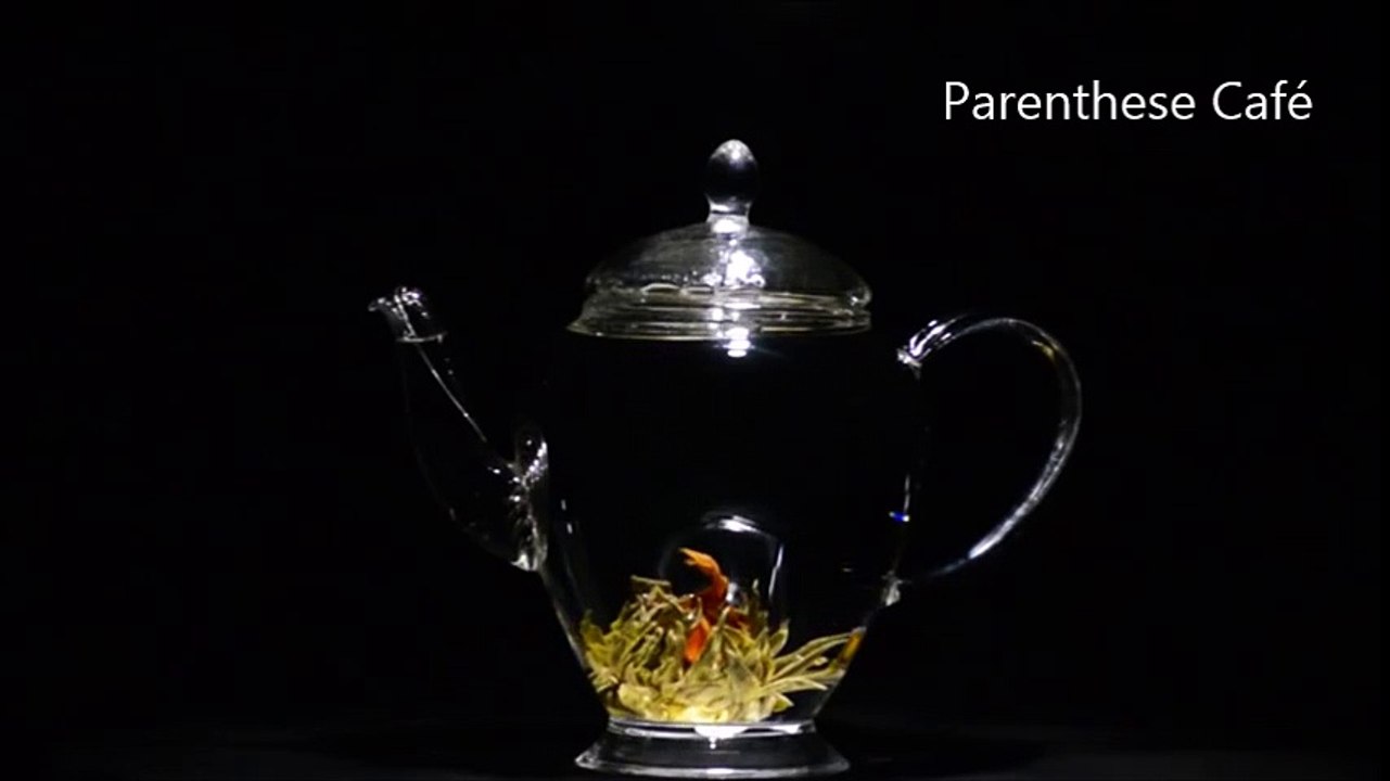 Eclosion d'une fleur de thé Parenthese Café