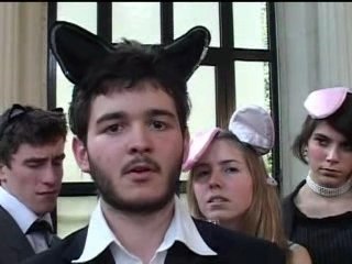 Les chats ont peur de moi