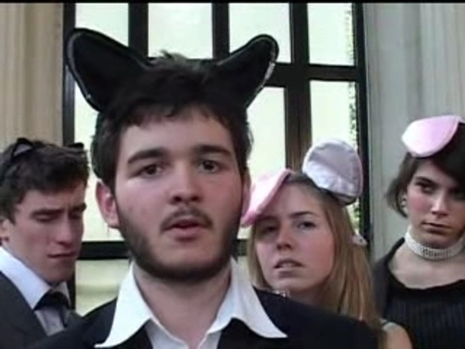 Les chats ont peur de moi