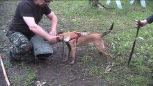 Занга на занятиях