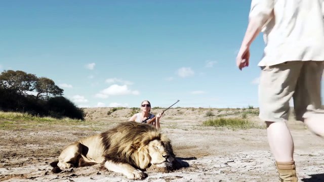 Un couple de chasseurs pose avec un lion mort