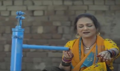 Best Scenes Of Udaari - Bushra Ansari