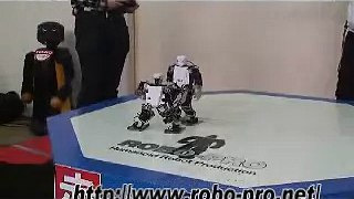 ロボットバトル　第4回チャレンジカップ L-25