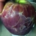 Une pomme recouverte d'une cire toxique, fait le buzz !!
