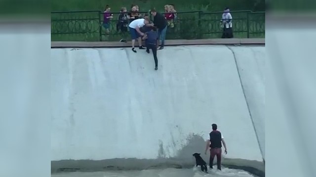 Un chien sauvé par des jeunes