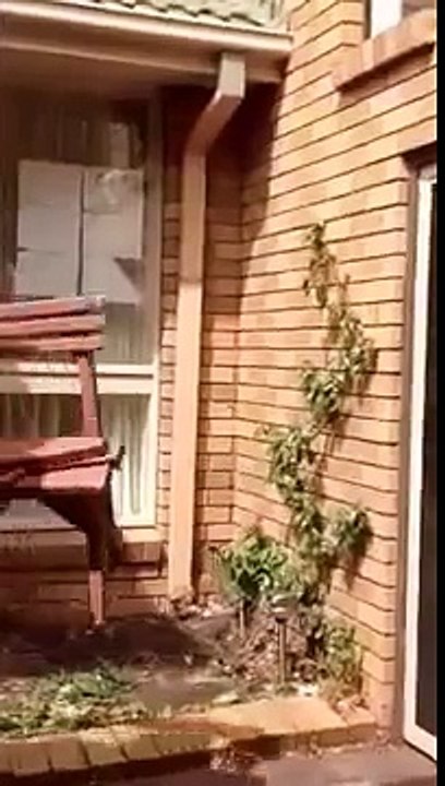 Budget Price Security Doors stainless steel security door impact tests | Derrimut