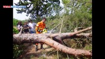Tornado ad Andria si abbatte su una villa con bambini e distrugge alberi