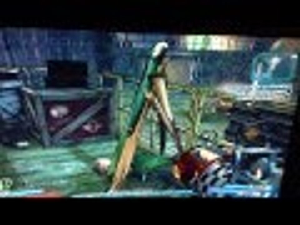 Borderlands 2 Arms Mishap