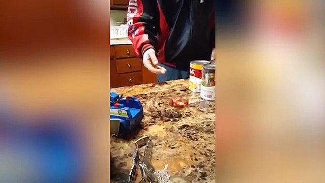 Son mini robot devient fou - Le soulevement des machines