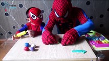 Spiderman Play Doh- Spiderman father & Spiderman Child- Play Modelling Clay Lean The Color By Animal