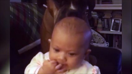 Ce chien fait la toilette de bébé à sa façon... A grand coup de langue