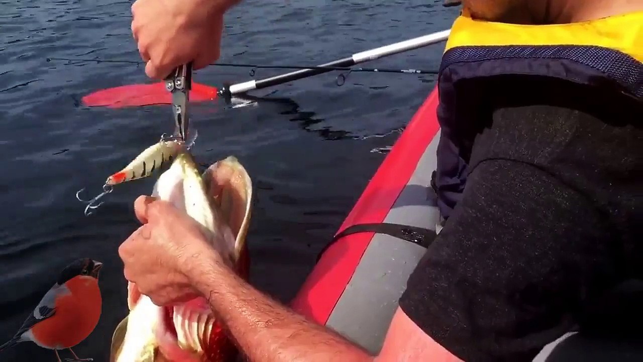 Рыбалка! Жесть! Щука монстр!