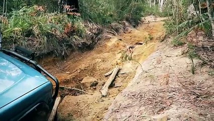 4x4 Off Road - Jellore State Forrest