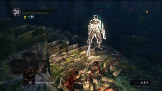 Dark Souls: Dragon Greatsword SL. 25 PVP