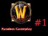 Lets do some quests | World of Warcraft random gameplay #1