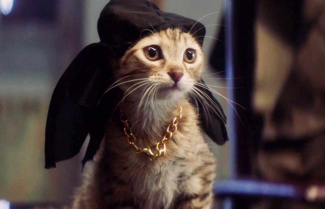 Keanu - trailer (deutsch) hd