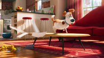The Secret Life Of Pets - Clip - Max Tries To Frame Duke