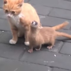 A remarkable friendship