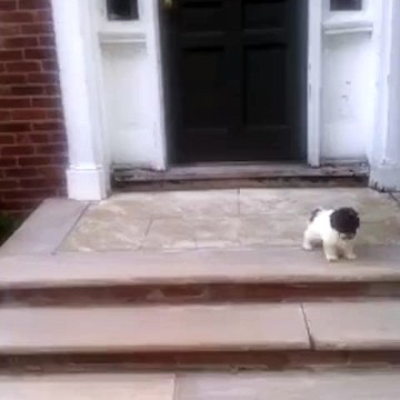 Простые решения