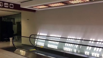 Solucan Yemekten Bıkıp Kendini Eğlendiren Kuş