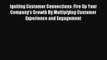 Read Igniting Customer Connections: Fire Up Your Company's Growth By Multiplying Customer Experience